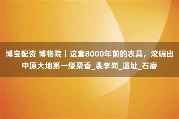 博宝配资 博物院丨这套8000年前的农具，滚碾出中原大地第一缕粟香_裴李岗_遗址_石磨