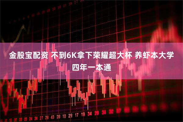 金股宝配资 不到6K拿下荣耀超大杯 养虾本大学四年一本通