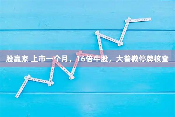 股赢家 上市一个月，16倍牛股，大普微停牌核查