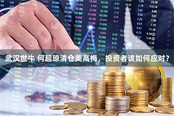 武汉世牛 何超琼清仓美高梅，投资者该如何应对？