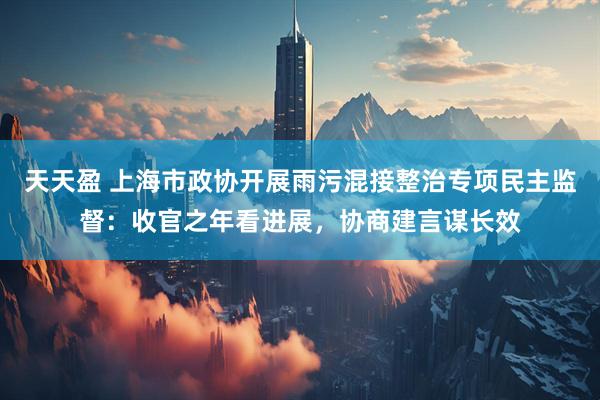 天天盈 上海市政协开展雨污混接整治专项民主监督：收官之年看进展，协商建言谋长效
