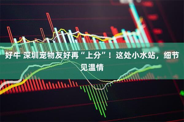 好牛 深圳宠物友好再“上分”！这处小水站，细节见温情